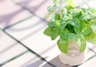 株式会社　丸和　百中社　